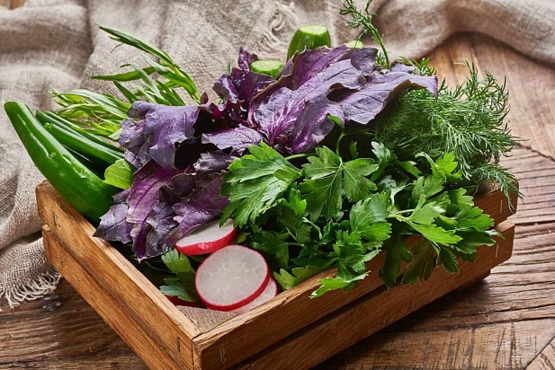 Зелень с огорода